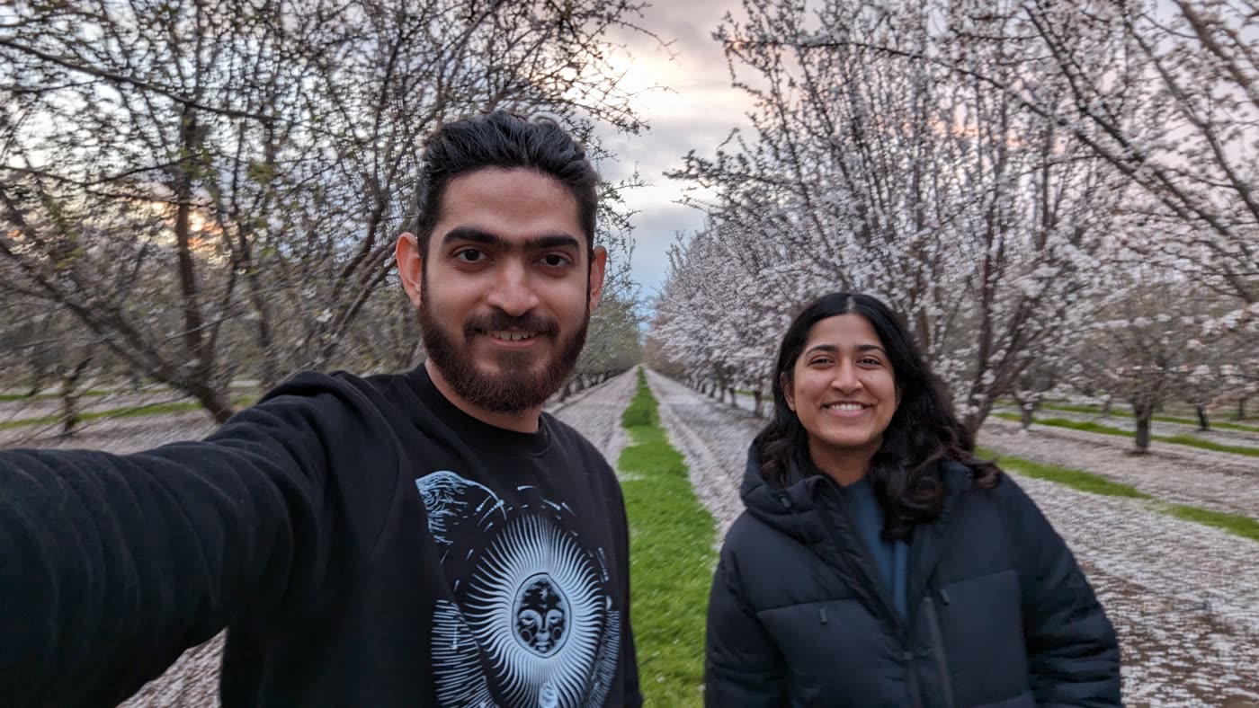 Abirami and Prateek on a path lined with blossom